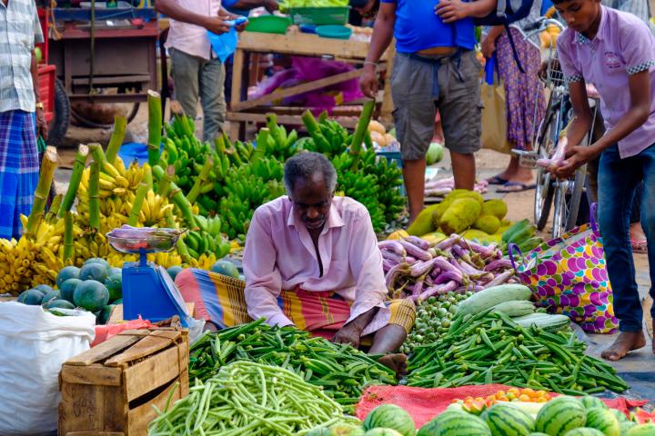 Länderbild Sri-lanka