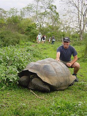 Galapagos Insel