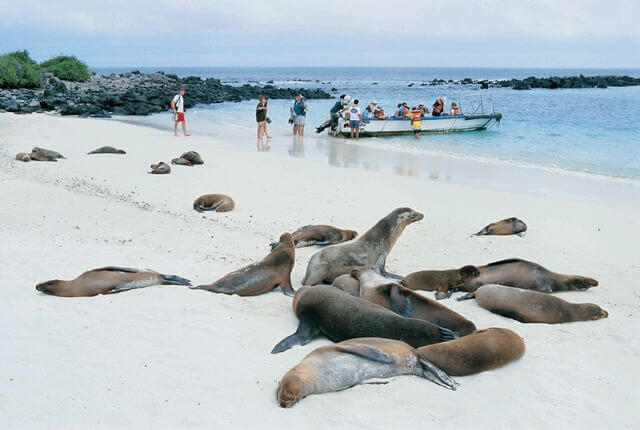 Galapagos Insel